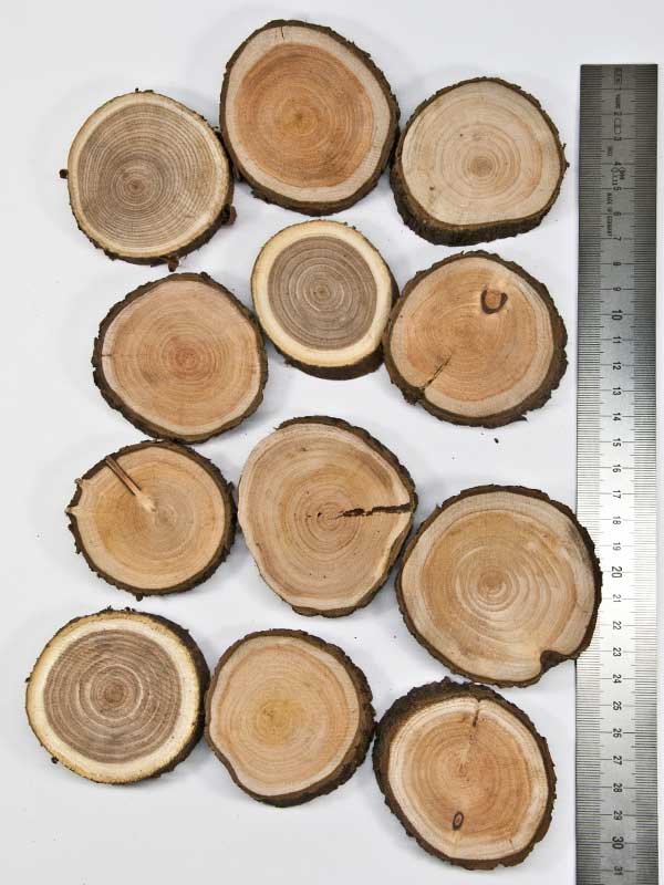 Houten schijfjes 12 stuks ongeveer 8 cm doorsnede