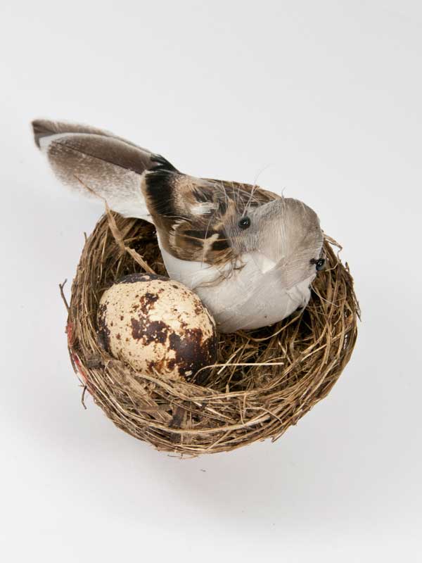 een miljard Storing Opeenvolgend Nestje met vogeltje en kwarteleitje - voorjaarsdecoratie - Bloemschikwinkel