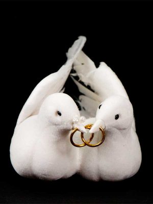 duivenbruidspaar met ringen in hun snaveltjes
