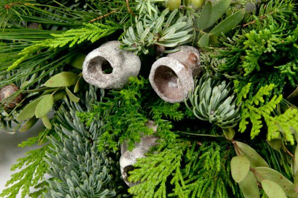 eucalyptus-bells-verwerkt-in-kerststukje