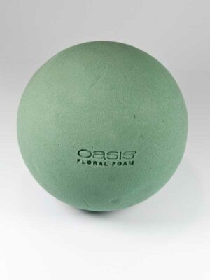 oasis steekschuim bol 16 cm