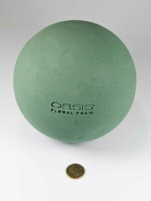 grootte van de oasis bol 16 cm vergeleken met 50 ct munt