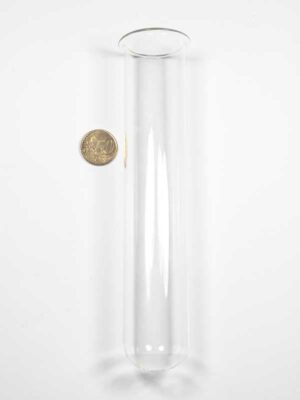 glazen-buis-20x4cm-met-rand-vergeleken-met-50-ct-munt